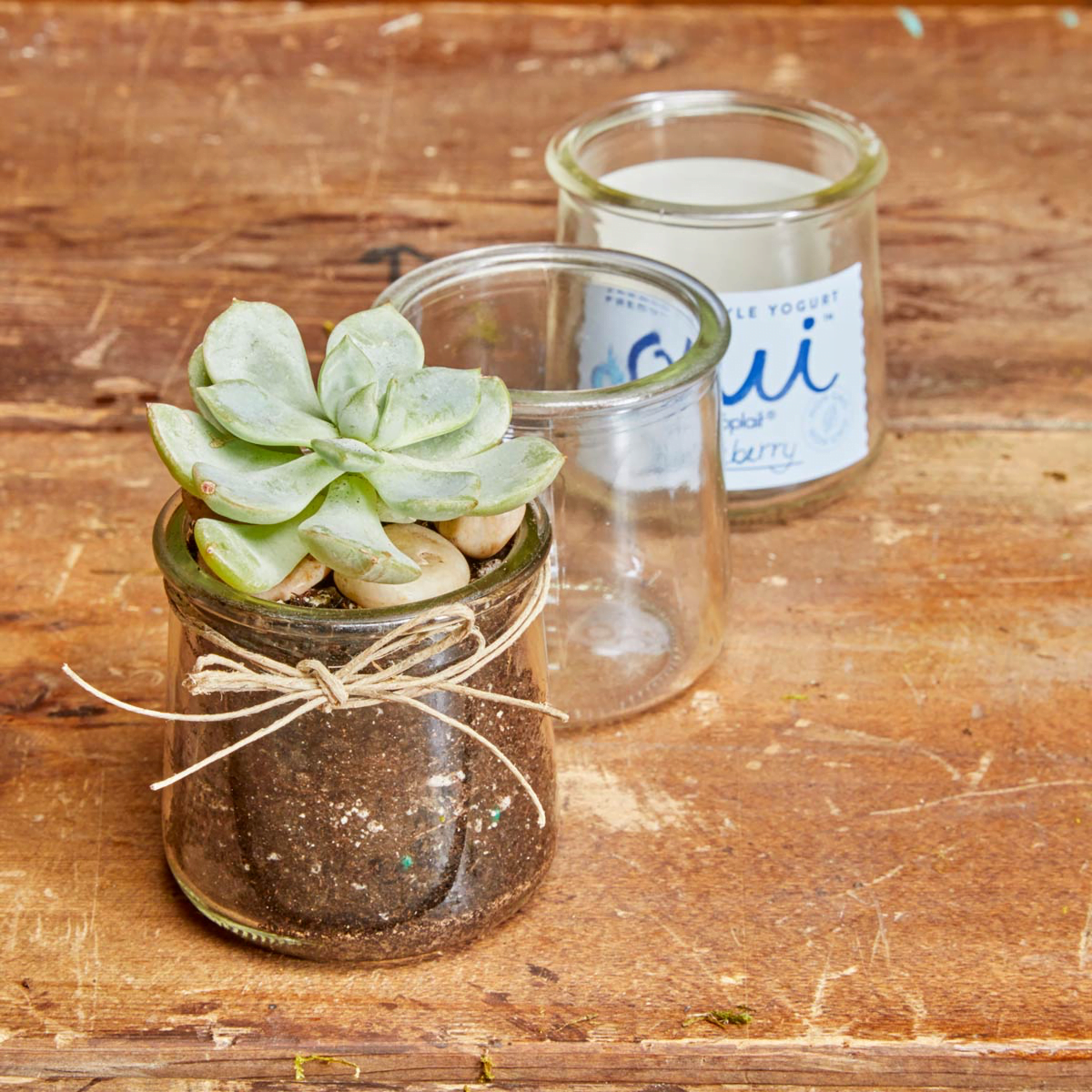 The Recycled Glass Jar Planter
