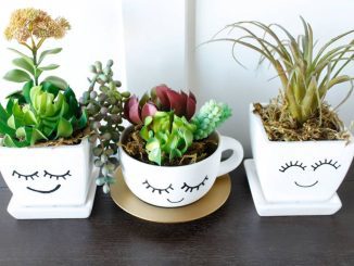 Gorgeous Planters for your Home