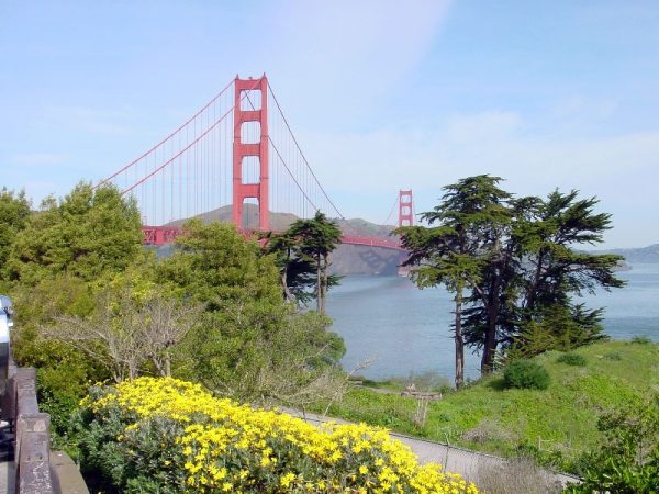 The Golden Gate Park San Francisco